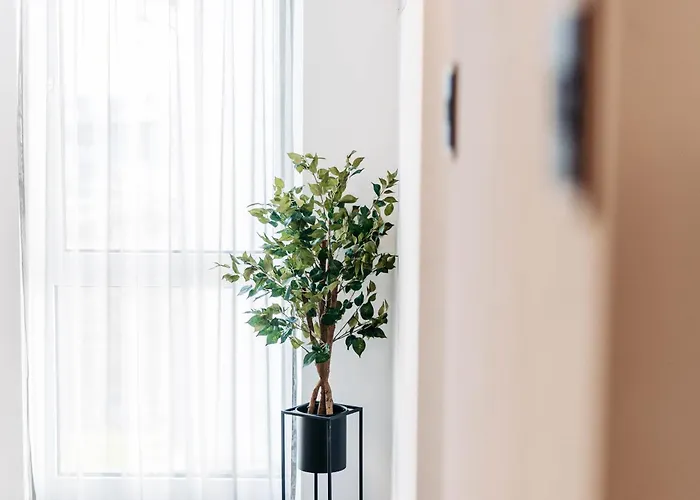 Appartement Easy - Self Check In - Out *